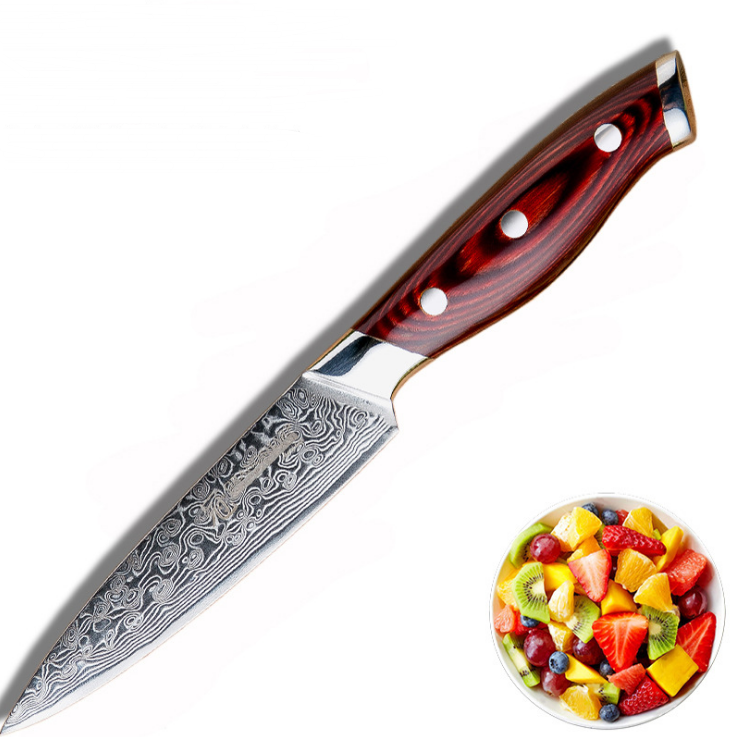 Universal knife fruit knife kitchen knife